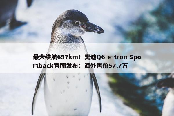 最大续航657km！奥迪Q6 e-tron Sportback官图发布：海外售价57.7万