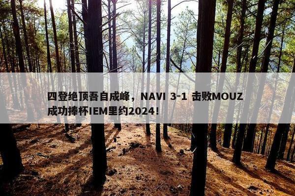 四登绝顶吾自成峰，NAVI 3-1 击败MOUZ 成功捧杯IEM里约2024！