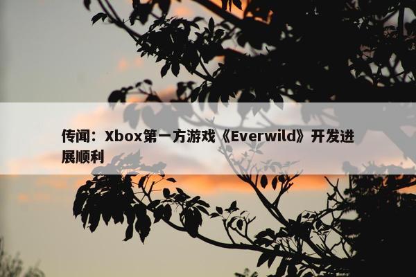 传闻：Xbox第一方游戏《Everwild》开发进展顺利