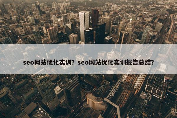 seo网站优化实训？seo网站优化实训报告总结？