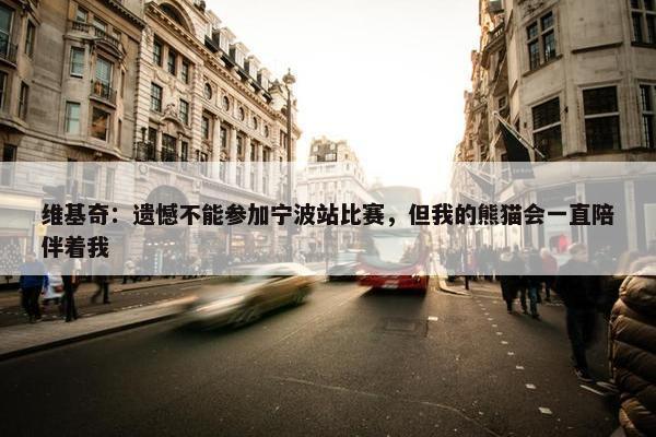 维基奇：遗憾不能参加宁波站比赛，但我的熊猫会一直陪伴着我