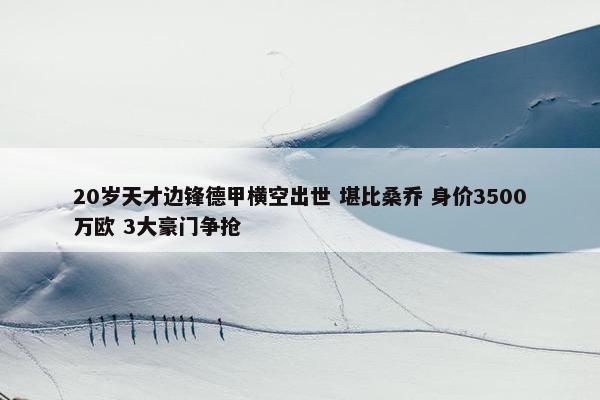 20岁天才边锋德甲横空出世 堪比桑乔 身价3500万欧 3大豪门争抢