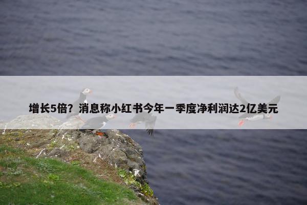 增长5倍？消息称小红书今年一季度净利润达2亿美元