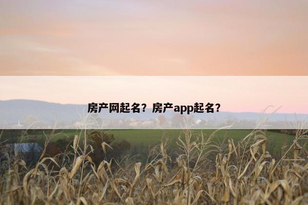 房产网起名？房产app起名？