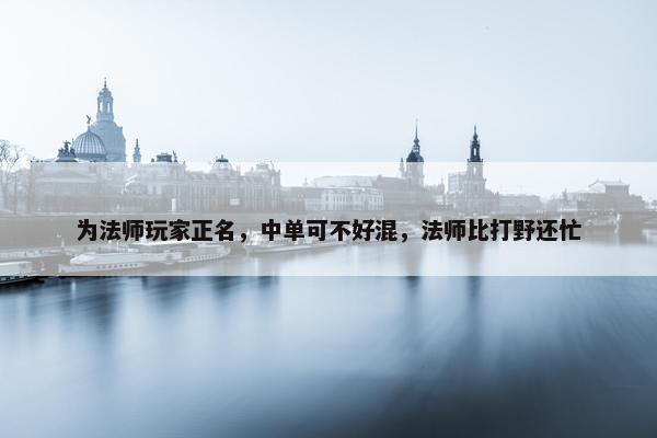 为法师玩家正名，中单可不好混，法师比打野还忙