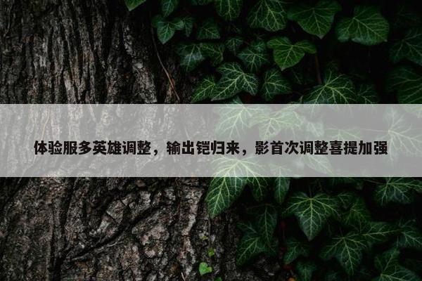 体验服多英雄调整，输出铠归来，影首次调整喜提加强