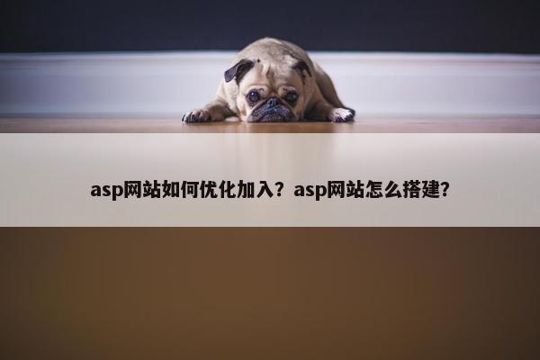 asp网站如何优化加入？asp网站怎么搭建？