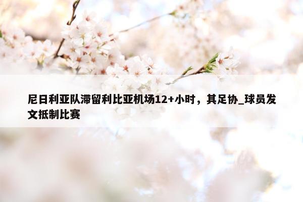 尼日利亚队滞留利比亚机场12+小时，其足协_球员发文抵制比赛