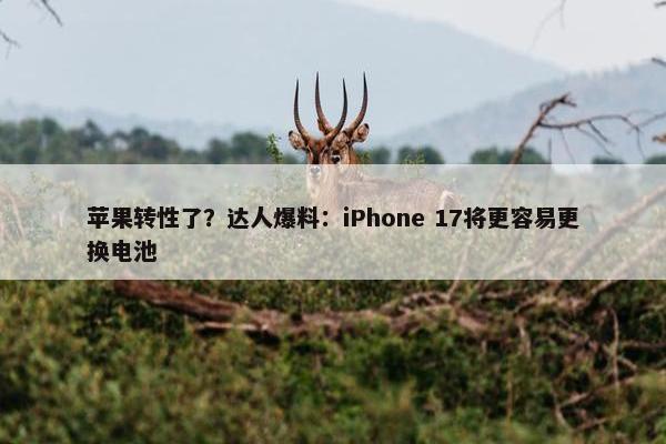 苹果转性了？达人爆料：iPhone 17将更容易更换电池