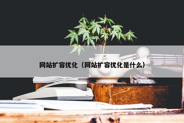 网站扩容优化（网站扩容优化是什么）