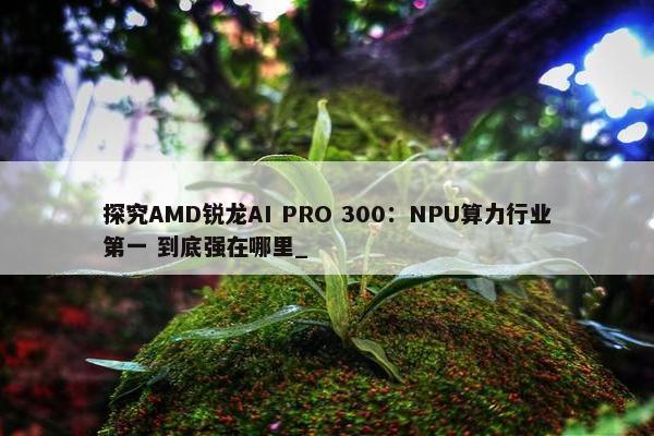 探究AMD锐龙AI PRO 300：NPU算力行业第一 到底强在哪里_