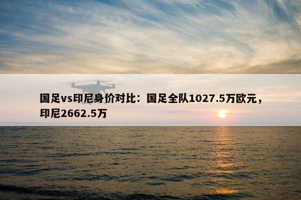 国足vs印尼身价对比：国足全队1027.5万欧元，印尼2662.5万