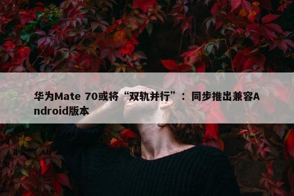 华为Mate 70或将“双轨并行”：同步推出兼容Android版本