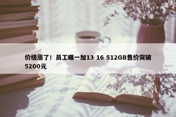 价格涨了！员工曝一加13 16 512GB售价突破5200元