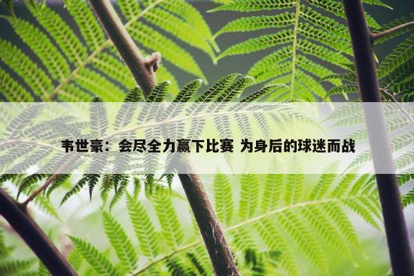 韦世豪：会尽全力赢下比赛 为身后的球迷而战