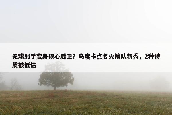 无球射手变身核心后卫？乌度卡点名火箭队新秀，2种特质被低估