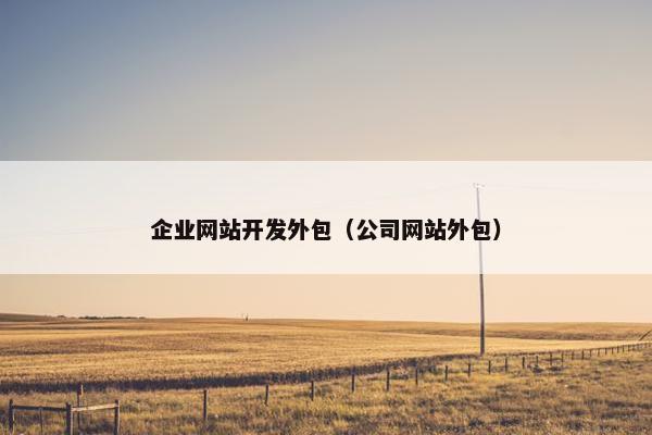 企业网站开发外包（公司网站外包）