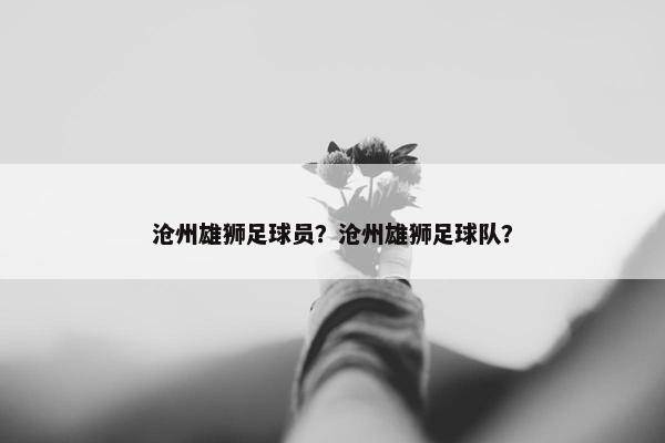 沧州雄狮足球员？沧州雄狮足球队？