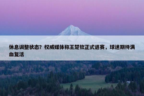 休息调整状态？权威媒体称王楚钦正式退赛，球迷期待满血复活