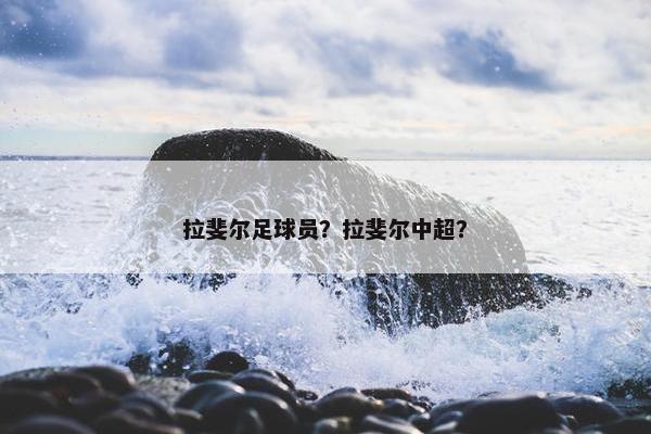 拉斐尔足球员？拉斐尔中超？