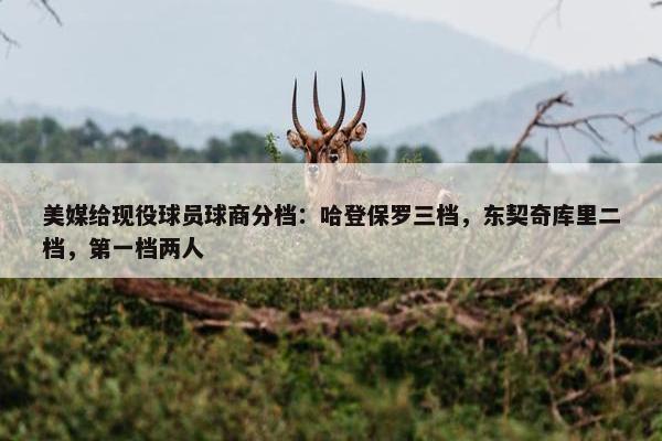 美媒给现役球员球商分档：哈登保罗三档，东契奇库里二档，第一档两人