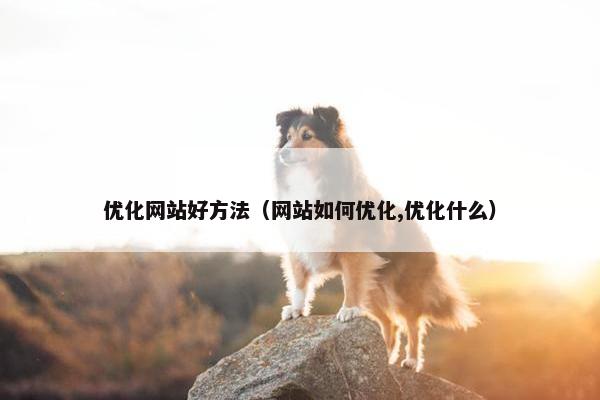 优化网站好方法（网站如何优化,优化什么）