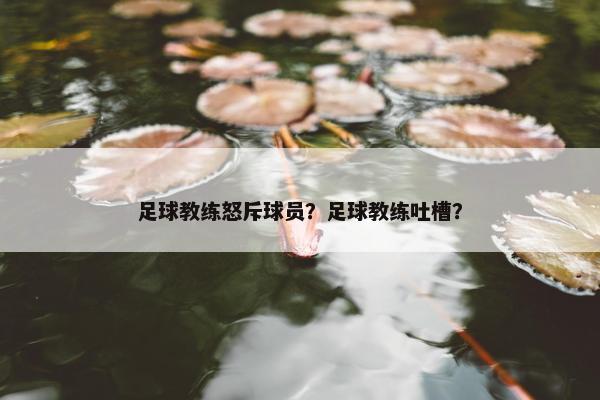 足球教练怒斥球员？足球教练吐槽？