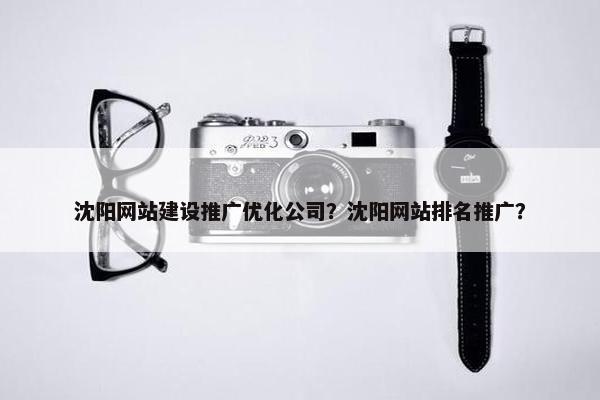 沈阳网站建设推广优化公司？沈阳网站排名推广？