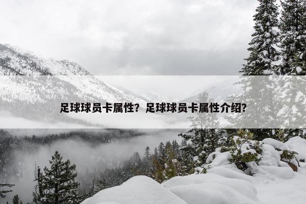 足球球员卡属性？足球球员卡属性介绍？