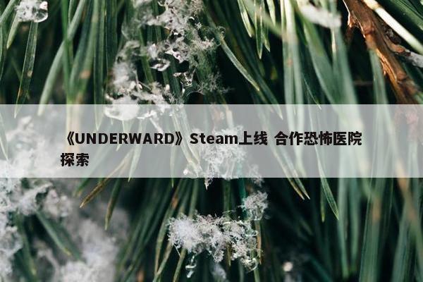 《UNDERWARD》Steam上线 合作恐怖医院探索