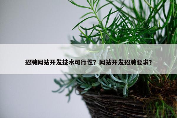 招聘网站开发技术可行性？网站开发招聘要求？