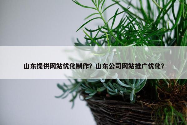 山东提供网站优化制作？山东公司网站推广优化？