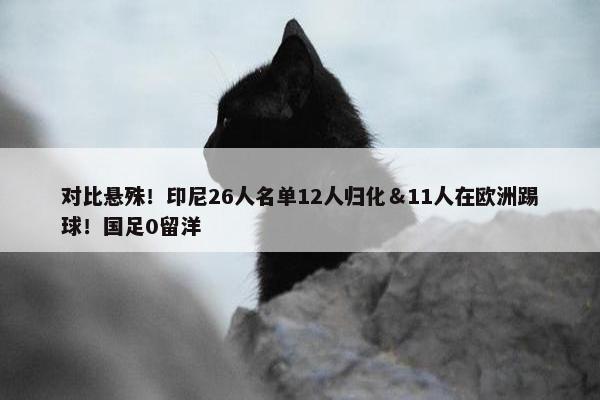 对比悬殊！印尼26人名单12人归化＆11人在欧洲踢球！国足0留洋