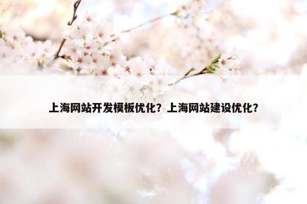 上海网站开发模板优化？上海网站建设优化？