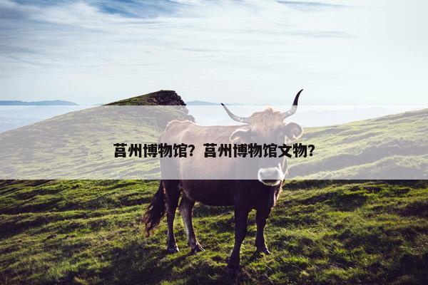 莒州博物馆？莒州博物馆文物？