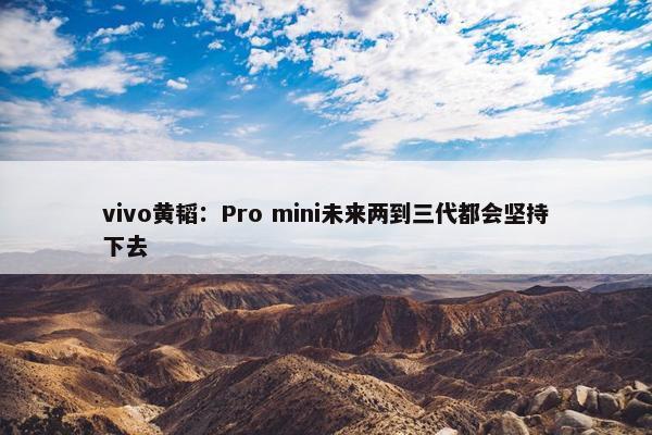 vivo黄韬：Pro mini未来两到三代都会坚持下去