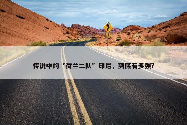 传说中的“荷兰二队”印尼，到底有多强？