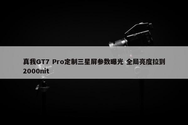 真我GT7 Pro定制三星屏参数曝光 全局亮度拉到2000nit