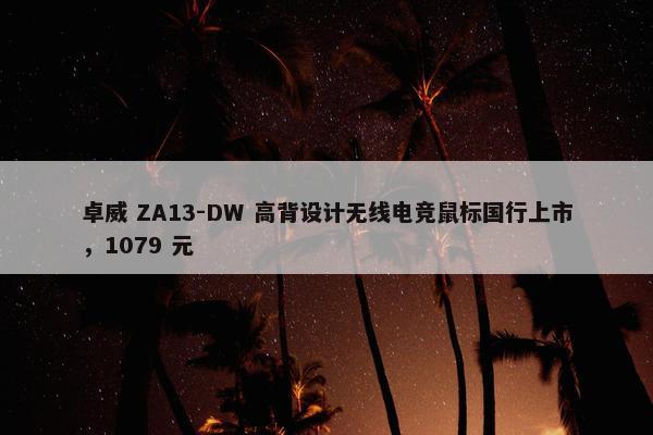 卓威 ZA13-DW 高背设计无线电竞鼠标国行上市，1079 元