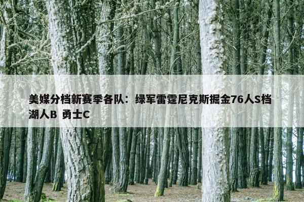 美媒分档新赛季各队：绿军雷霆尼克斯掘金76人S档 湖人B 勇士C