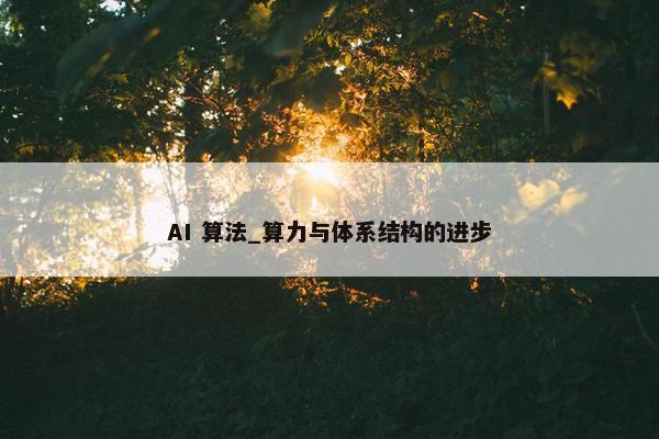 AI 算法_算力与体系结构的进步