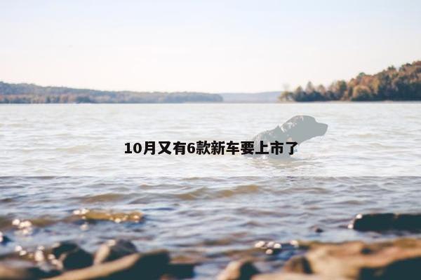 10月又有6款新车要上市了