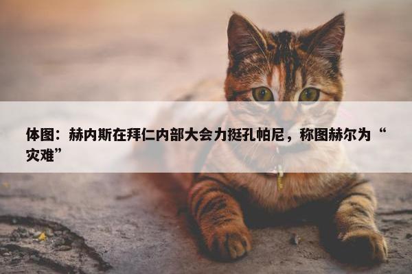 体图：赫内斯在拜仁内部大会力挺孔帕尼，称图赫尔为“灾难”