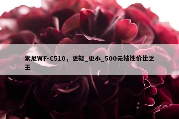 索尼WF-C510，更轻_更小_500元档性价比之王