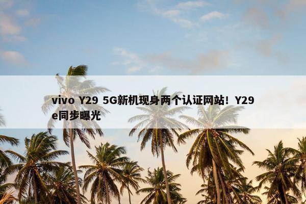 vivo Y29 5G新机现身两个认证网站！Y29e同步曝光