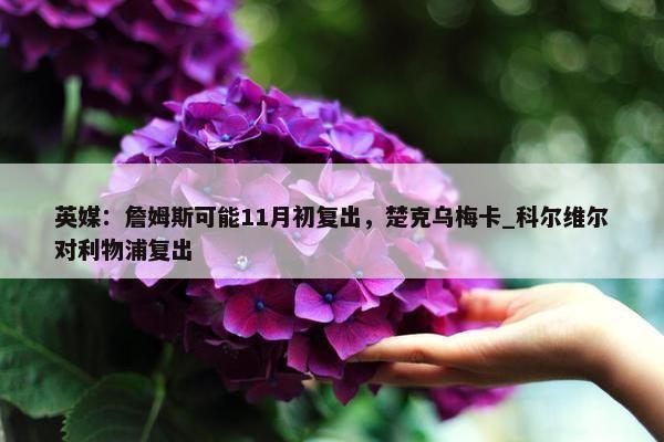 英媒：詹姆斯可能11月初复出，楚克乌梅卡_科尔维尔对利物浦复出