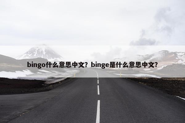 bingo什么意思中文？binge是什么意思中文？