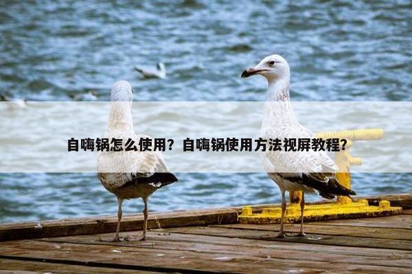 自嗨锅怎么使用？自嗨锅使用方法视屏教程？