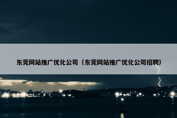 东莞网站推广优化公司（东莞网站推广优化公司招聘）