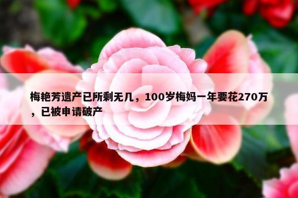 梅艳芳遗产已所剩无几，100岁梅妈一年要花270万，已被申请破产